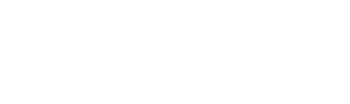 Wisim
